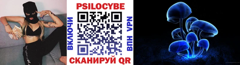 Купить закладки  Богучар  Псилоцибиновые грибы Psilocybe 